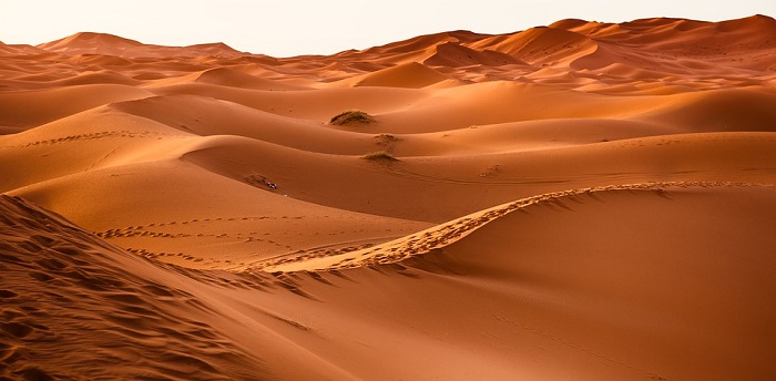 Pustinja Sahara - površina, klima, zanimljivosti